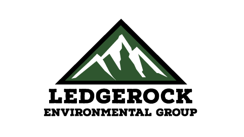 Ledgerock Environmental Group